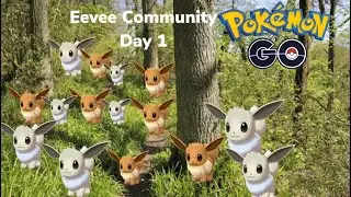 Eevee Community Day 1 was Insane #pokemongo #comday #eevee #shinypokemon