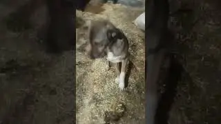 küstün mü 😁
