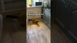 Уборка  