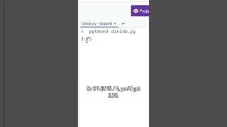 Python: Decimal division vs integer division 🐍