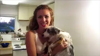 MAKE YOUR OWN EASY DOG FOOD!
