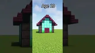 Houses At Different Ages (Worlds Smallest Violin) 