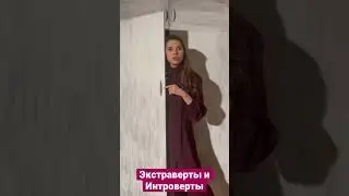 Экстраверты и Интроверты - ключевое различие