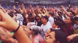 ragamuffin2014_icecube_intro_snip