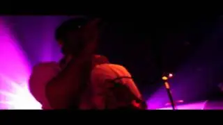 Timid Tiger Gadget Girls Live