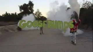 Goosebumps LP Promo