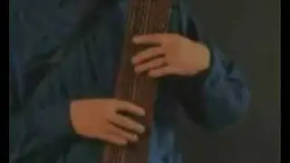 Quick guide to the Chapman Stick