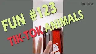 Fun Tik-Tok #123 Trend | Funhouse off , fails | Тик-Ток тренд, неудачи, приколы, смешное видео