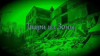 S.T.A.L.K.E.R. F.M. (the Fundamental Mode) ReLoad Порождения Зоны и способы их уничтожения.