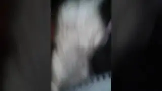 СЛ тетрадь