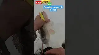 23 февраля 2023 г.