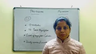 Protozoan | Metazoan | Difference and Similarities between Protozoan and Metazoan | NEET | NET JRF