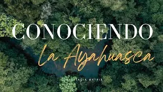 Descubriendo la  Ayahuasca: Preguntas y Respuestas