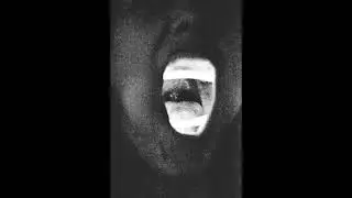 plantcham // experimental type beat - 