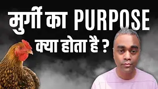 Hum PURPOSE mein kyun BELIEVE karte hain?