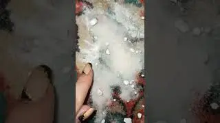 Как Быстро Убрать Пятно и Запах Мочи 