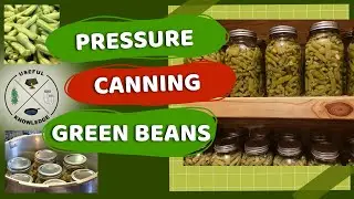How to Can Green Beans | Useful Knowledge