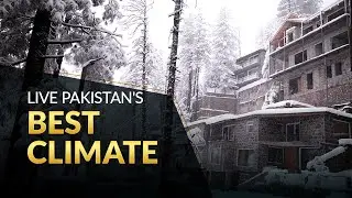 Buy Home in Galiyat to Experience Pakistan’s Best Climate | Blue Pine Mountain Homes