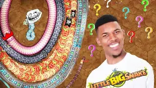 Little Big Snake . Best moments & Trolling 🐍🐍🐍 😂😂
