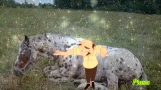 Кони в яблоках