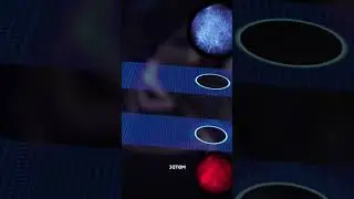 Как думаете, могут ли существовать кротовые норы? 
