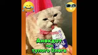 Анекдот про тупого Олега. 