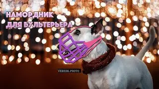 Не могу найти намордник для бультерьера