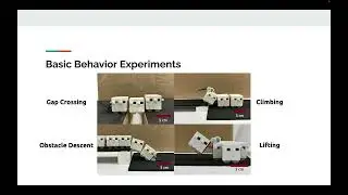 Enhancing Heterogeneous Swarm Locomotion Through Simple 1-DOF Arm Mechanisms | James Clinton