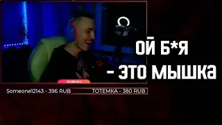 Да это мышка была...