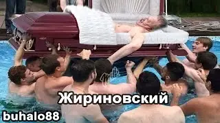 buhalo88 | Жириновский звонит [ТехноПранк]