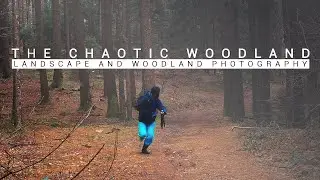 My landscape photography compositions in the woodland. Running away from a chaotic woodland