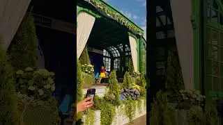 Артистка ✌️ 