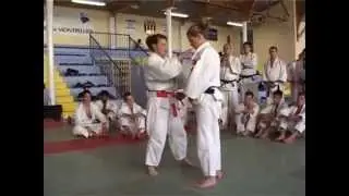 JANE BRIDGE - SASAE TSURI KOMI ASHI