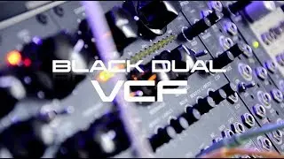 Erica Synths-Black DUAL VCF demo sound