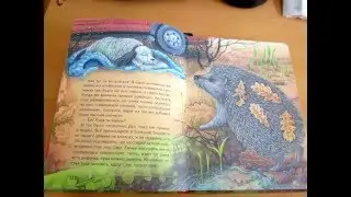 М. Пришвин. Ёж