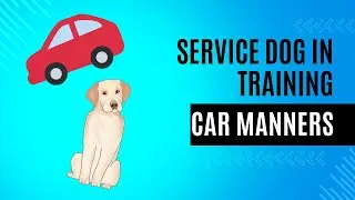 Training Car Manners with Sunshine the Service Dog in Training