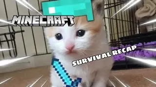 SURVIVAL SEIRES RECAP / Minecraft