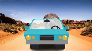 A Dusty Trip With Sloth...?