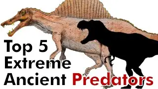 Top 5 Extreme Ancient Predators