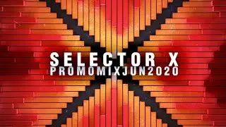 SELECTOR X -- Jungletrain.net Spotlight Mix - June 2020 (ruffneck rudebwoy styles)