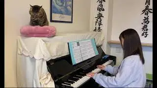 アポトーシス　　official髭男dism                ピアノ　〜猫と一緒〜
