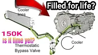 Fill for Life Sealed Transmissions? Some people will never service the ZF 8 speed RWD. Dipstick Tube