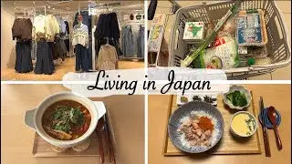 window shopping, shopping at Kaldi and 100yen store | foreign housewife daily in japan
