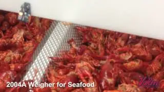 Volmpack 2004A Industrial Weigher - Seafood