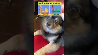 МОЙ ТГК: irbx.artem1 подпишись на тгк 