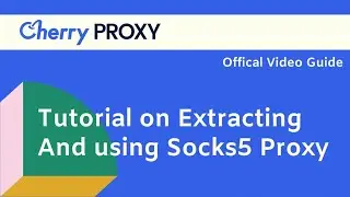 Tutorial on Extracting and Using Socks5 Proxy