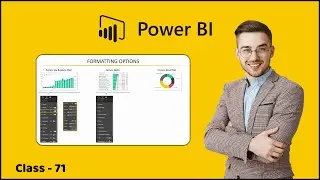 6.5 Power BI Report Formatting Option | Visualizing Data with Power Bi Reports | Learn Power BI 2022