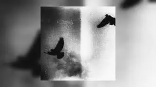 [FREE] Dark Sample pack 