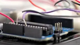 OCAD University - Digital Futures