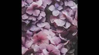[FREE] J. Cole x Kendrick Lamar x Mac Miller x Isaiah Rashad x Logic Type Beat | 